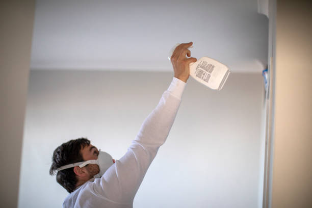 Best Mold Damage Repair  in Mikes, TX