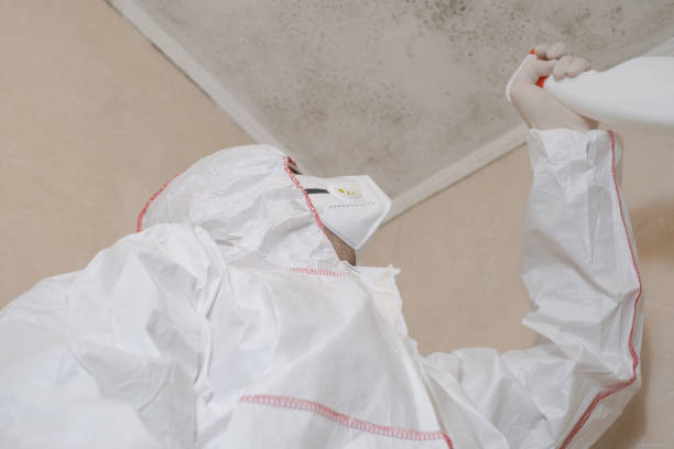 Mold Removal Process in Mikes, TX